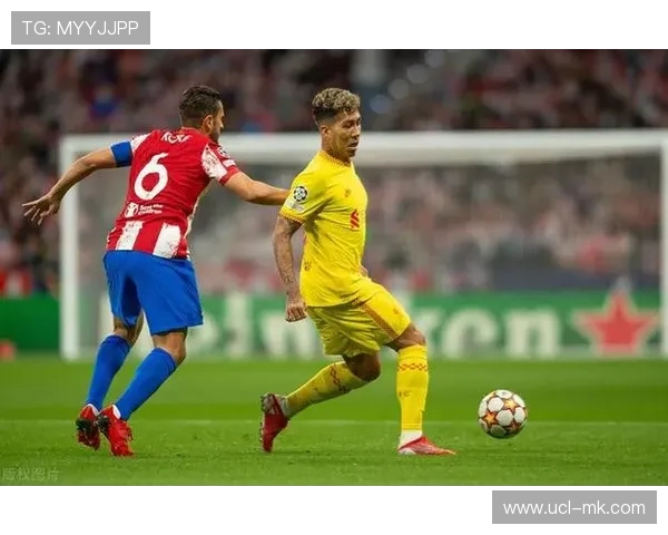 意甲球迷满意度调查发布，观赛体验优化